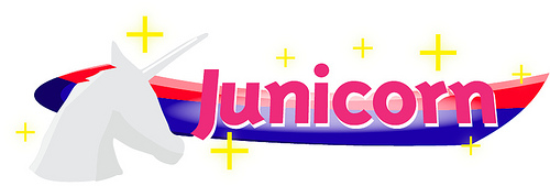 DMG junicorn banner